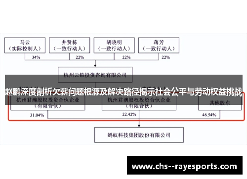赵鹏深度剖析欠薪问题根源及解决路径揭示社会公平与劳动权益挑战